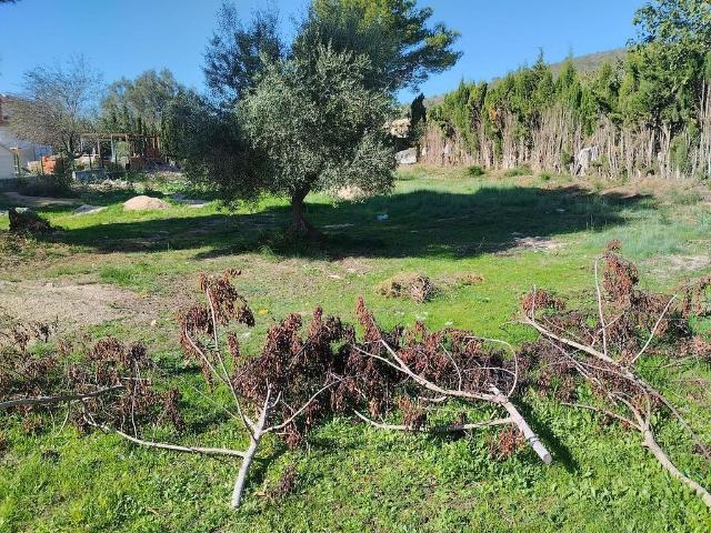 Solar en venta en Montmell, El, de 1.000 m² por 25.000