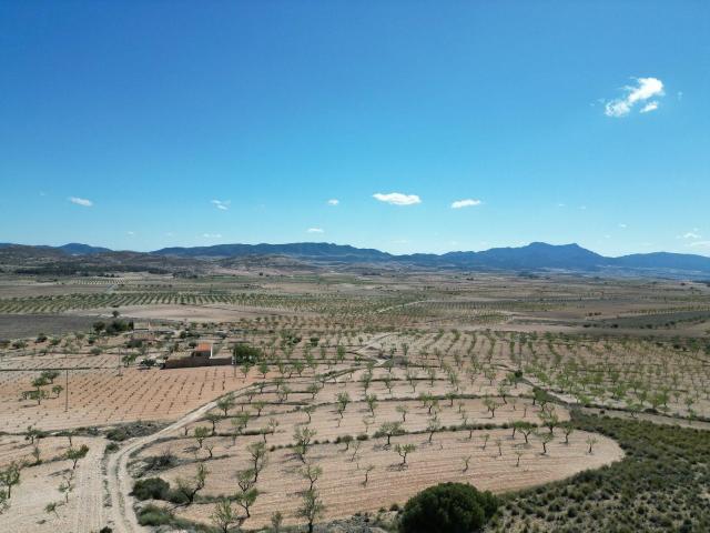Solar en venta en Pinoso Alicante