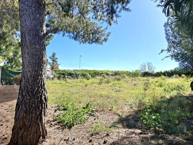 SOLAR EN VENTA, LA CAÑADA BÉTERA