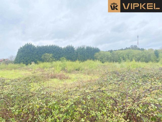 Solar en alquiler en Betanzos La Coruña