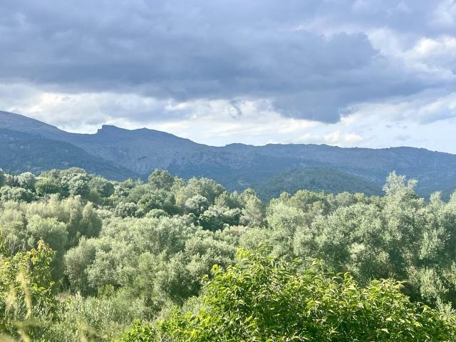 Solar en Campanet