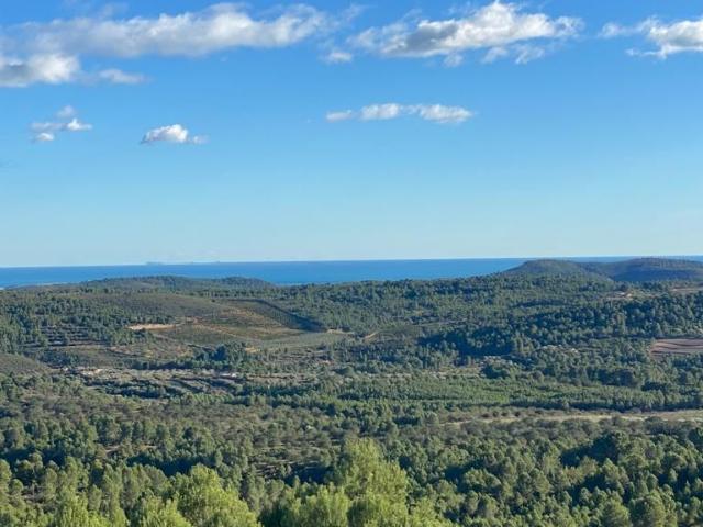 Solar en Les Coves de Vinromà