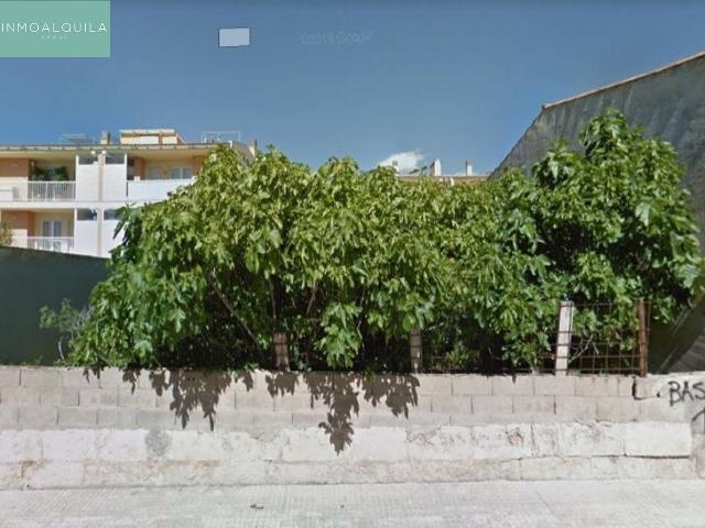 Solar en Muro
