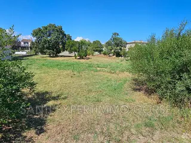 Solaro 20240 Achat / Vente terrain