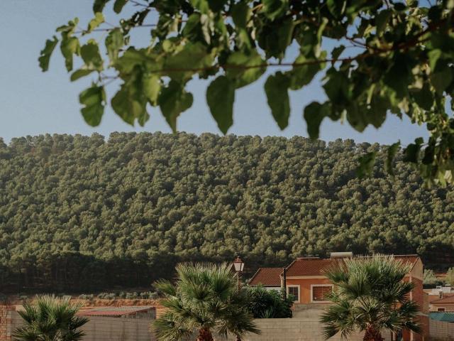 SOLARES A LA VENTA FRENTE A LA SIERRECILLA DE HUMILLADERO¡