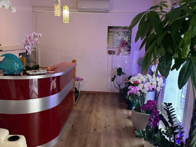 Solarium in affitto a Firenze