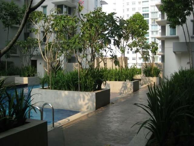 Solaris Dutamas, Batu