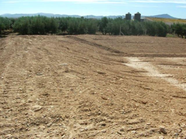Solar/Parcela en alquiler en Fuente Alamo de Murcia, Murcia Costa Cálida