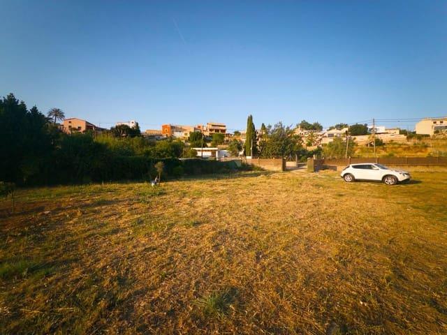 Solar/Parcela en alquiler en Palma de Mallorca, Mallorca
