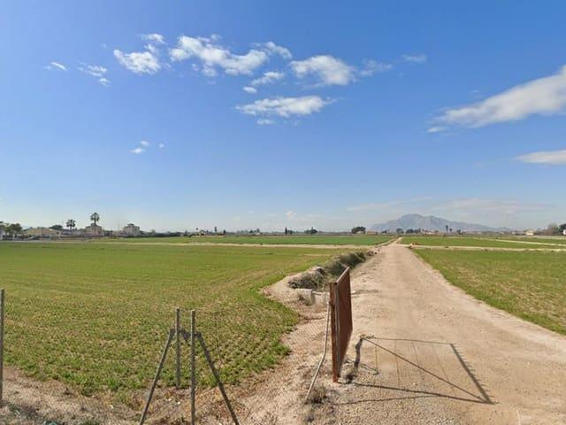 Solar/Parcela en venta en Catral, Alicante