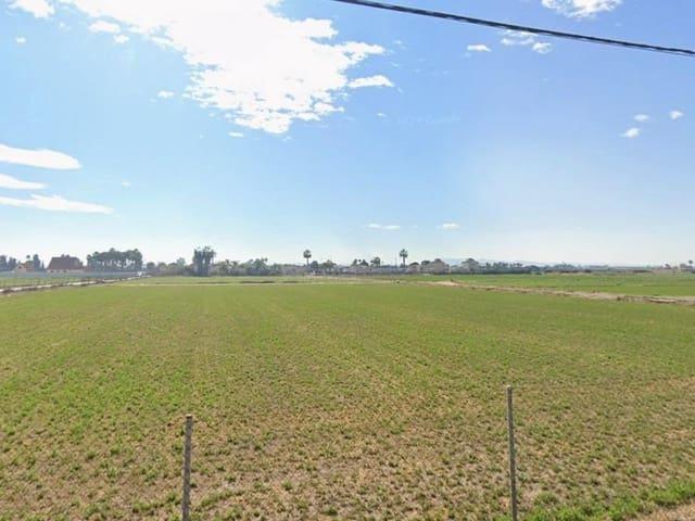 Solar/Parcela en venta en Catral, Alicante