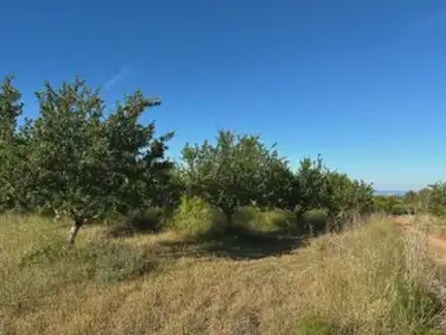 Solar/Parcela en venta en Cabanes, Castellón Costa Azahar