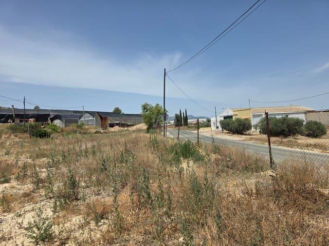 Solar/Parcela en venta en Calasparra, Murcia