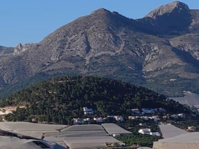 Solar/Parcela en venta en Callosa d'En Sarrià, Alicante Costa Blanca