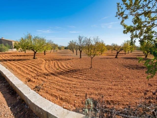Solar/Parcela en venta en Campos, Mallorca