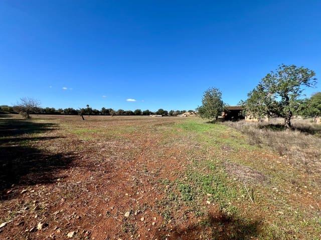 Solar/Parcela en venta en Campos, Mallorca