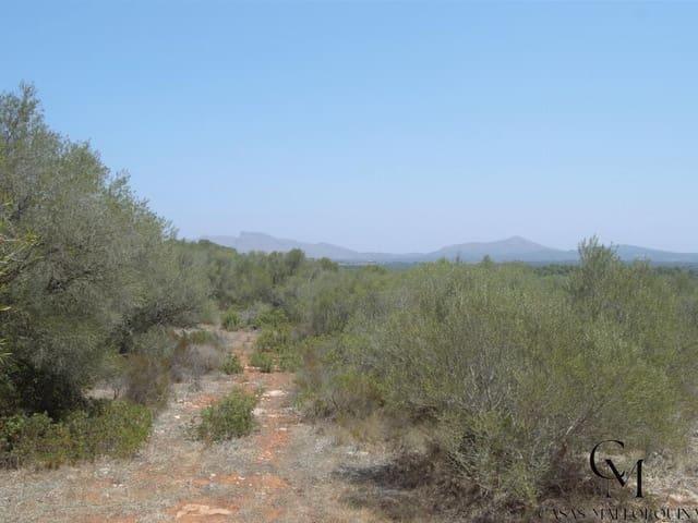 Solar/Parcela en venta en Ca'n Picafort, Mallorca