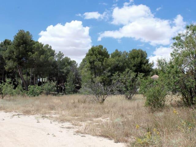 Solar/Parcela en venta en Caravaca de la Cruz, Murcia