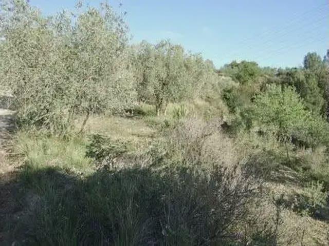 Solar/Parcela en venta en Castellbisbal, Barcelona
