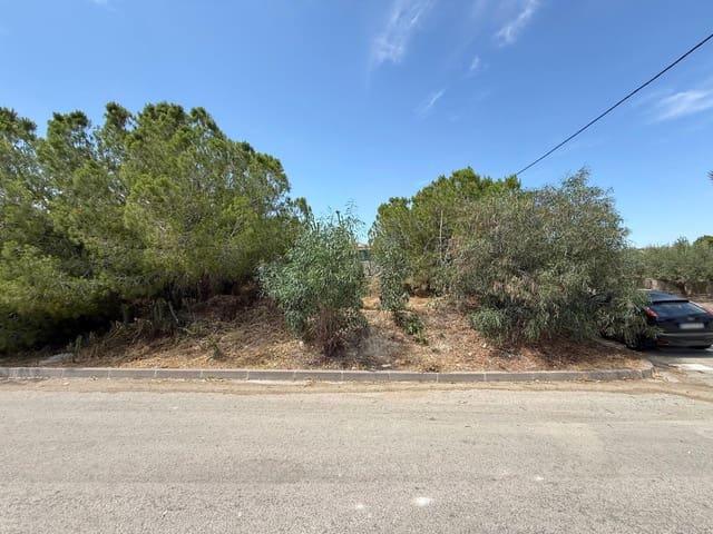 Solar/Parcela en venta en Cañada de San Pedro, Murcia