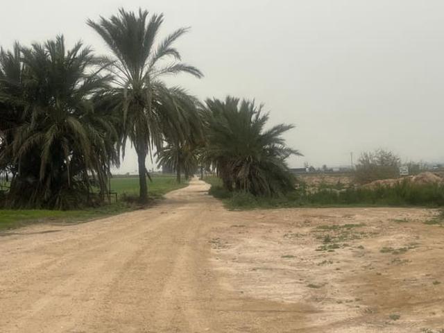 Solar/Parcela en venta en Crevillente / Crevillent, Alicante