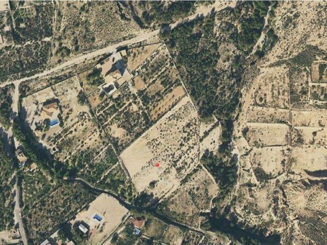 Solar/Parcela en venta en Crevillente / Crevillent, Alicante