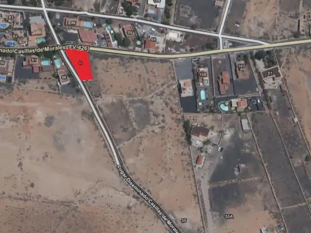 Solar/Parcela en venta en Antigua, Fuerteventura