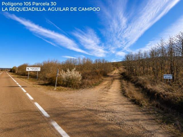 Solar/Parcela en venta en Aguilar de Campoo, Palencia