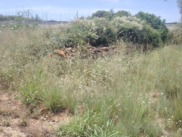 Solar/Parcela en venta en Alcalalí / Alcanalí, Alicante Costa Blanca