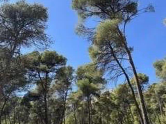 Solar/Parcela en venta en Aledo, Murcia