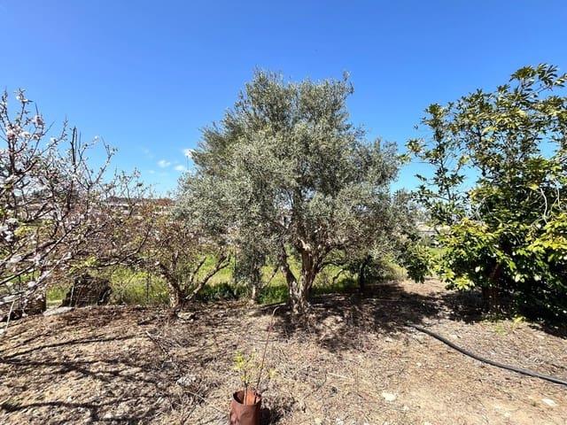 Solar/Parcela en venta en Alhaurín de la Torre, Málaga Costa del Sol