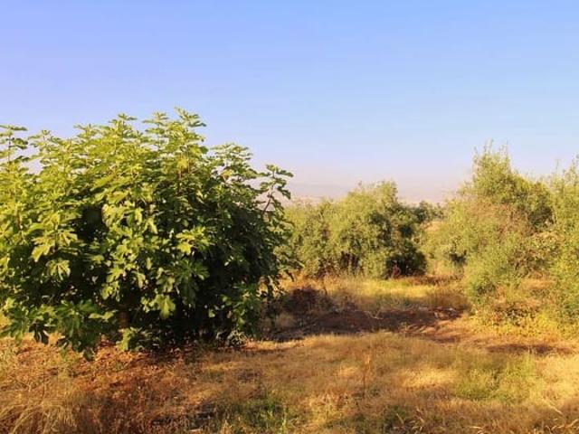 Solar/Parcela en venta en Alhaurín de la Torre, Málaga Costa del Sol