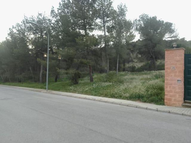 Solar/Parcela en venta en Cañada, Alicante