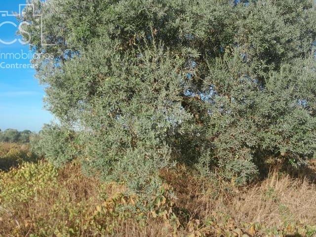 Solar/Parcela en venta en Almonte, Huelva