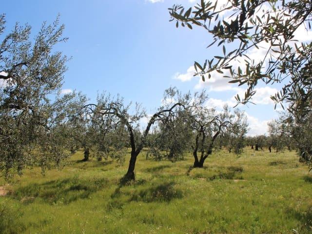 Solar/Parcela en venta en Almonte, Huelva