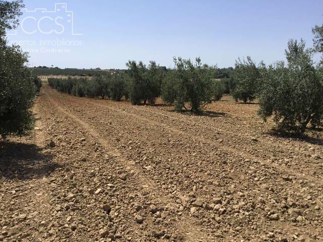 Solar/Parcela en venta en Almonte, Huelva