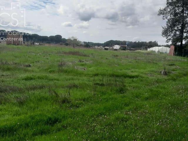 Solar/Parcela en venta en Almonte, Huelva