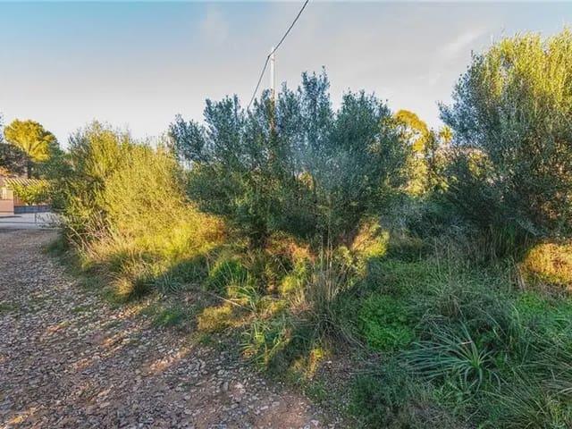 Solar/Parcela en venta en Artà, Mallorca