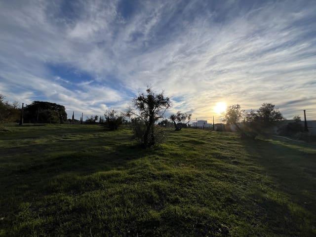 Solar/Parcela en venta en Arriate, Málaga