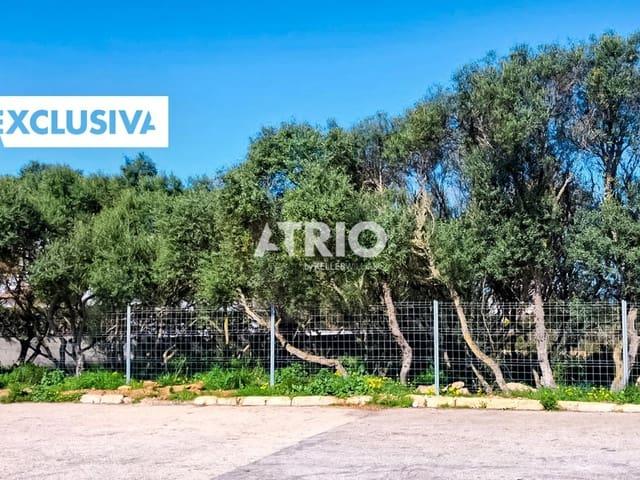 Solar/Parcela en venta en Badia Gran, Mallorca