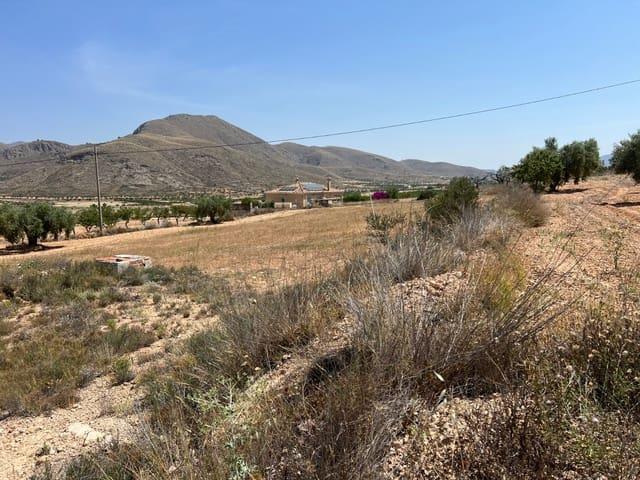 Solar/Parcela en venta en Barbarroja, Alicante