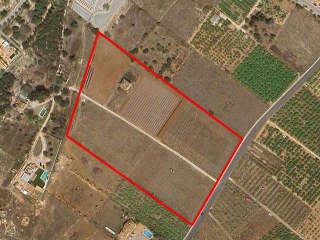 Solar/Parcela en venta en Beniarbeig, Alicante Costa Blanca