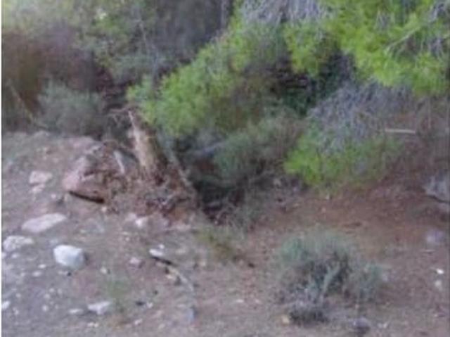 Solar/Parcela en venta en Benicàssim, Castellón Costa Azahar
