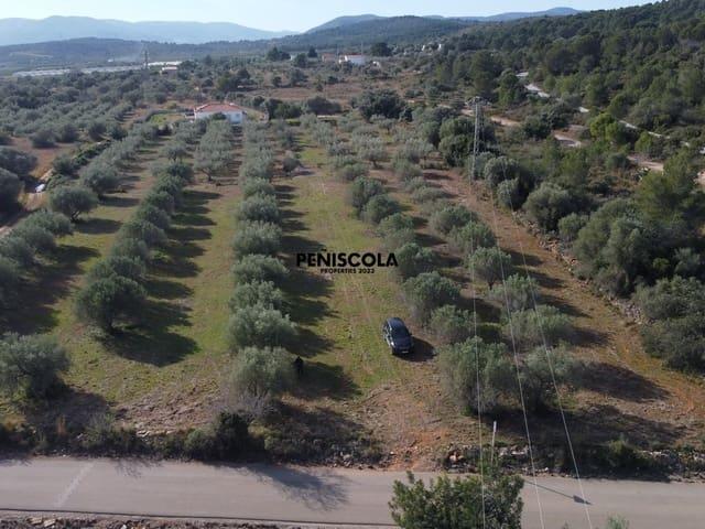 Solar/Parcela en venta en Benicarló, Castellón Costa Azahar