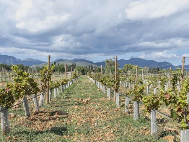 Solar/Parcela en venta en Binissalem, Mallorca