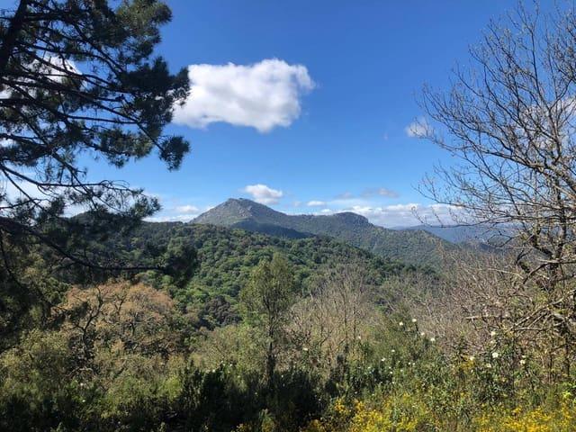 Solar/Parcela en venta en Gaucín, Málaga