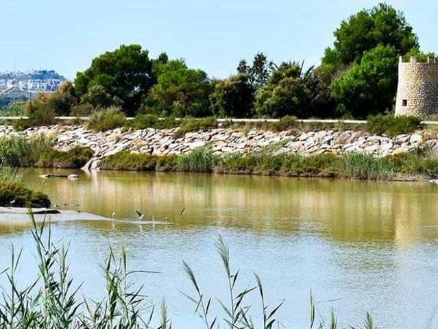 Solar/Parcela en venta en Guardamar del Segura, Alicante Costa Blanca