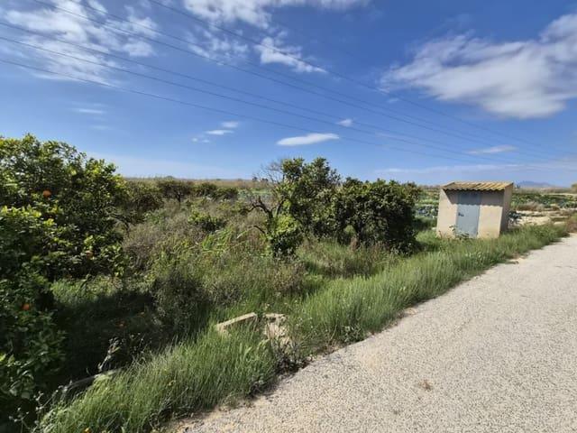 Solar/Parcela en venta en Guardamar del Segura, Alicante Costa Blanca