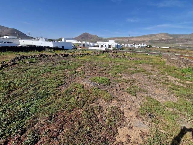 Solar/Parcela en venta en Guatiza, Lanzarote