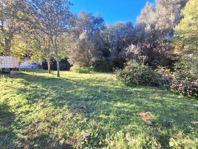 Solar/Parcela en venta en Dénia, Alicante Costa Blanca